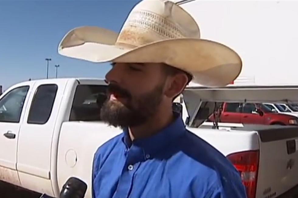 Texas Cowboy Explains Rogue Cow Adventure And Well,  Wow