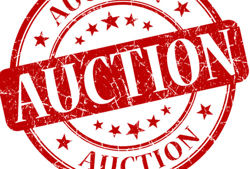 Ellsworth Rotary Club’s Annual Auction Happens May 13th