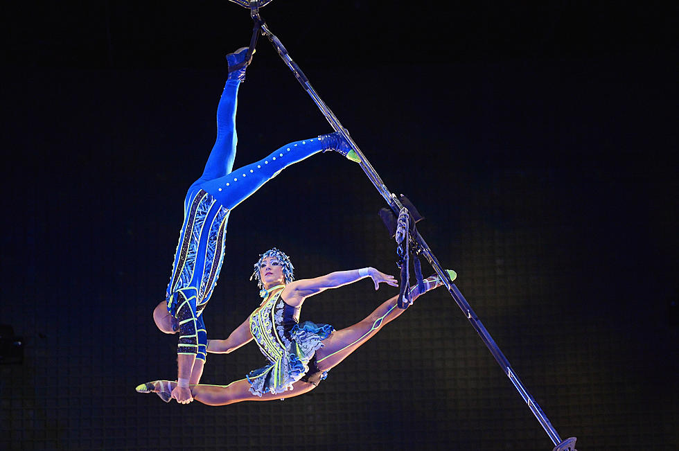 Here’s Why You Should See Cirque du Soleil OVO in Bangor Next Month [VIDEO]