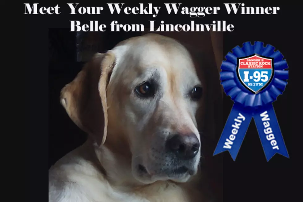 Vote for the Weekly Wagger!
