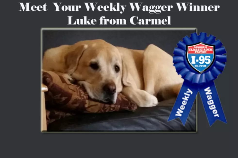 Weekly Waggers Say Thanks!