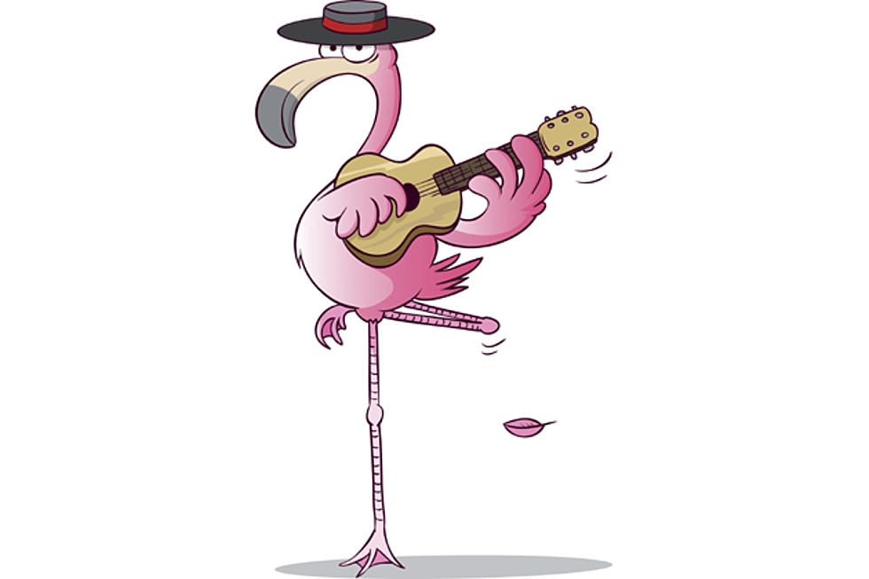 Grab Your Flamingo The Festival Starts Today [INFO]