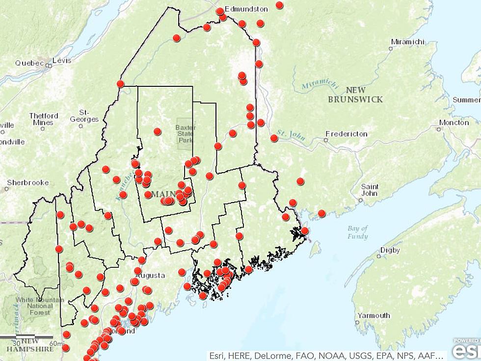 NOAA Assembles Webcams In Maine On One Page