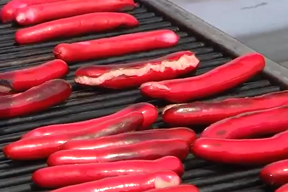 Year One Is Bound To Be A Snapper For The Maine Red Hot Dog Festival [INFO]