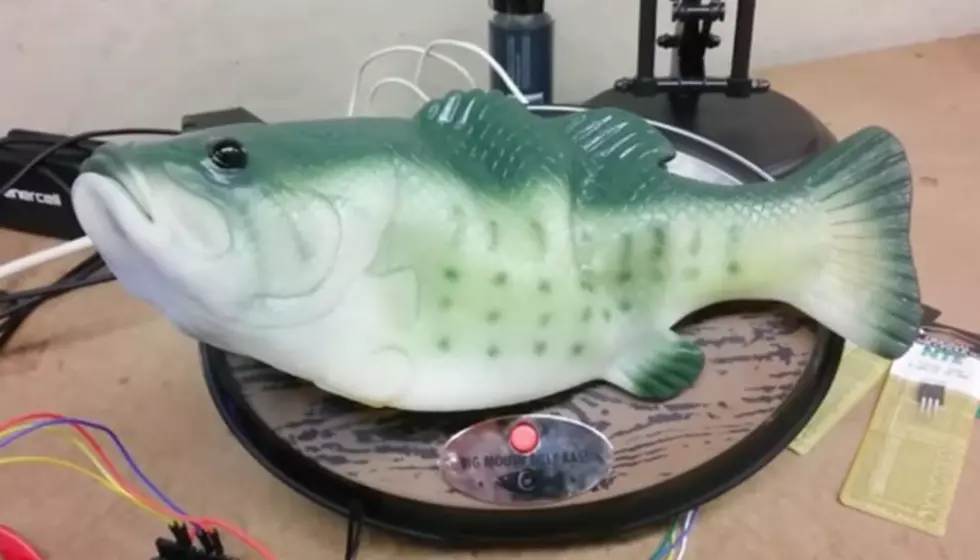 Design Instructor Combines Billy Bass With Amazon’s Alexa [VIDEO]