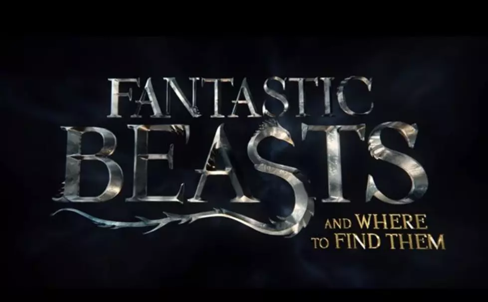 Donate To The SPCA Before The Premiere Of Fantastic Beasts And Where To Find Them