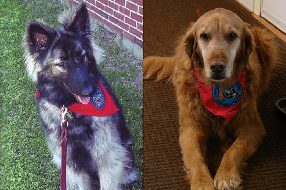 Brewer Library’s Read To Me Program ‘Dog Ears’ Has Openings