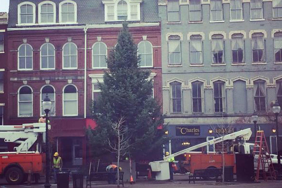 Should The Tree Remain in Downtown Bangor Through New Years? [POLL]
