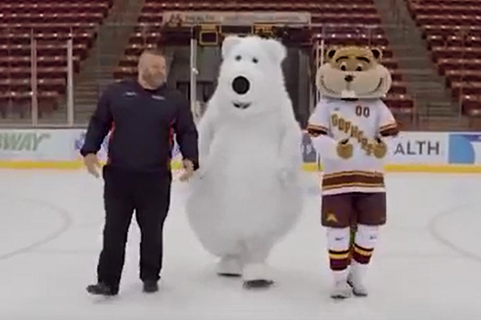 Dressed As A Polar Bear Walking On Ice…What Could Go Wrong?