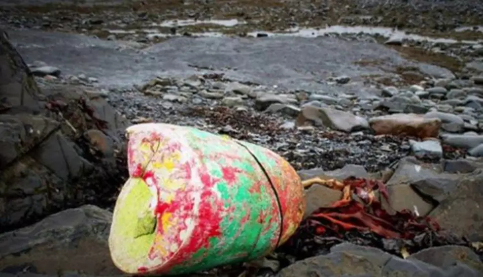 Lobster Buoy From Southwest Harbor Washes Ashore In Ireland