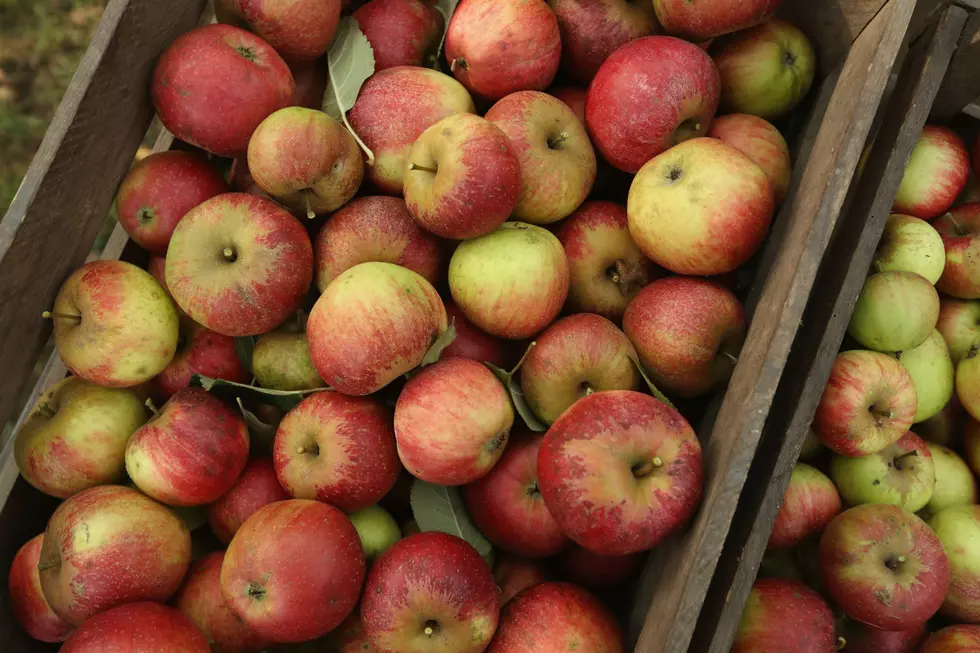 Maine Apple Sunday this Weekend- Here are Places You Can Pick Up Some Farm Fresh Apples