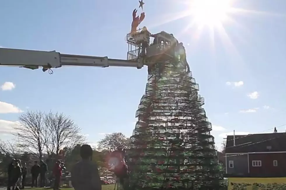 WATCH Rockland’s Famous Lobster Trap Christmas Tree Being Built In This Time Lapse [VIDEO]