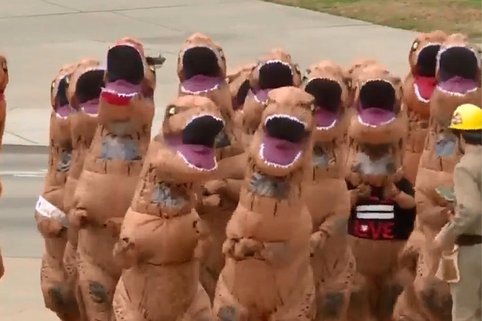 T-Rex Herd To Bust A Move In Portland On Saturday