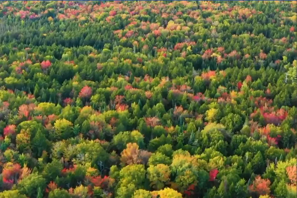 Fall Is Beginning To Pop In Maine [VIDEO]