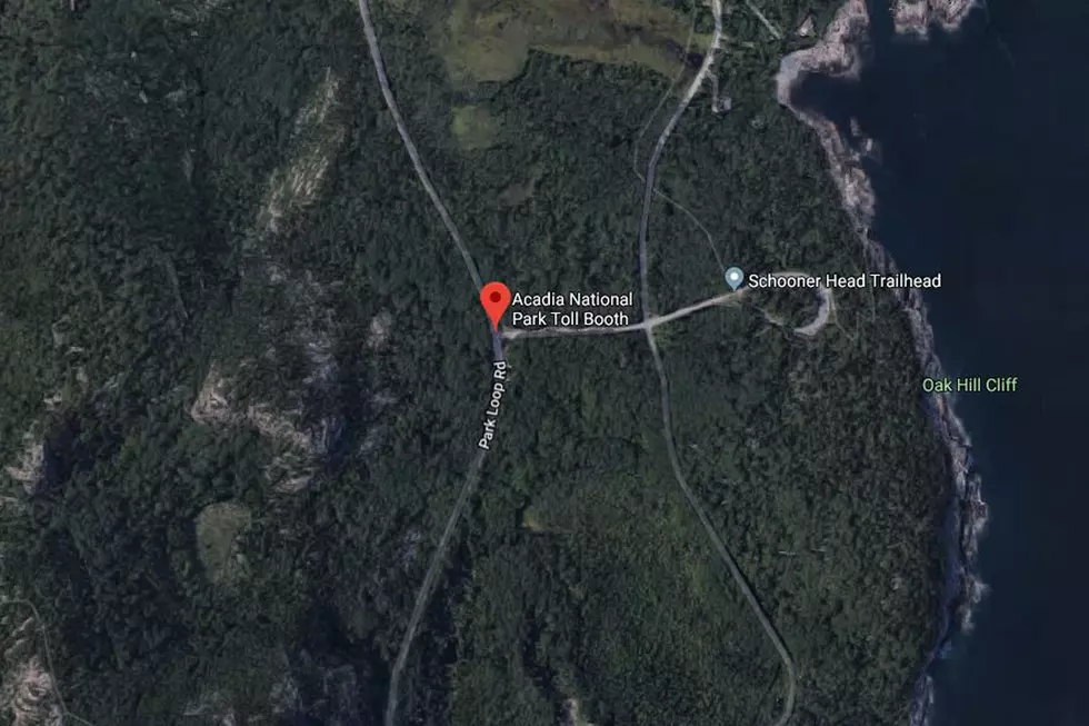 Most Of Acadia&#8217;s Park Loop Road Now Closed To Motorized Traffic