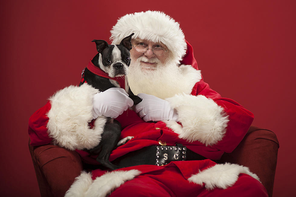 Bangor Mall Santa Paws Pictures To Support The Bangor Humane Society