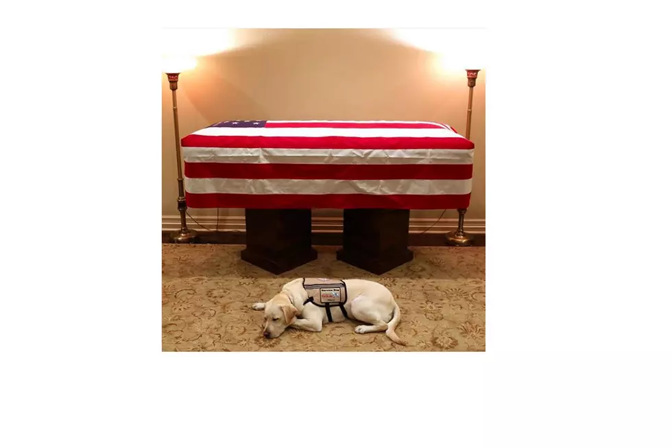 The President&#8217;s Dog Pays His Respects One Final Time