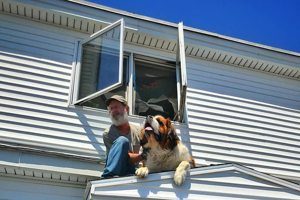 Maine Fire Department Rescues St. Bernard From Roof