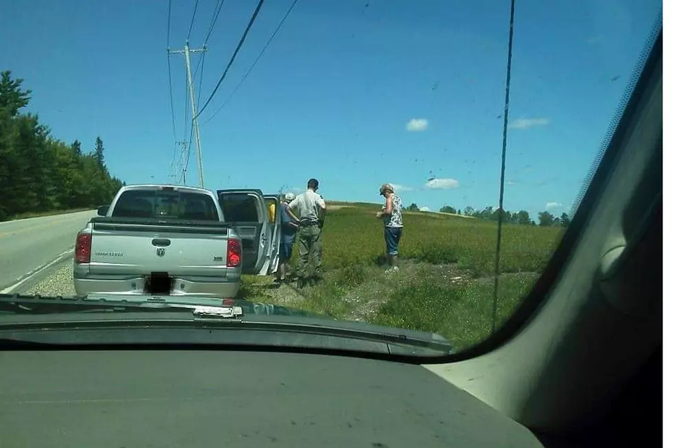 News Flash: Picking A Farmer’s Blueberries Without Permission Is Stealing