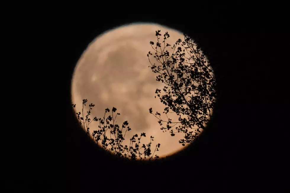 Plan On A Maine Harvest Moon The Night Of Friday The 13th