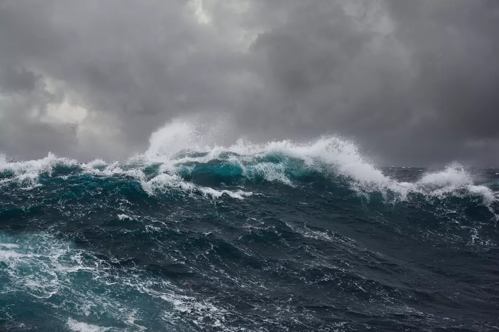 Plan To Swim In Maine Waters This Weekend? Watch Out!