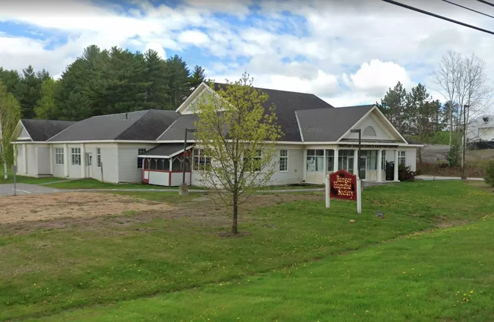 Bangor Humane Society Temporarily Closes After Employee Tests Positive for COVID-19
