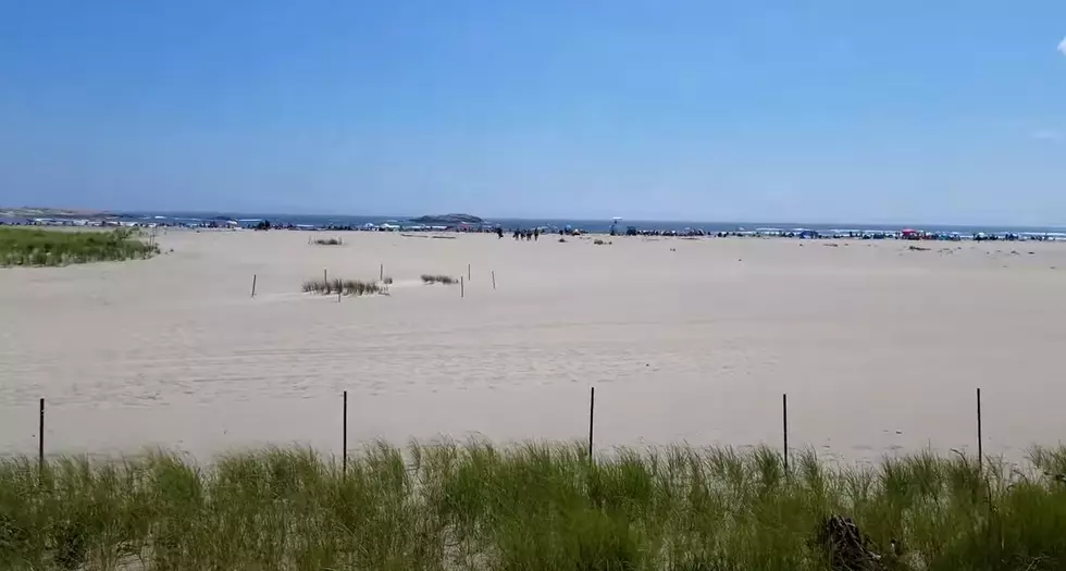 Here Are the Maine State Beaches Reopening June 1st