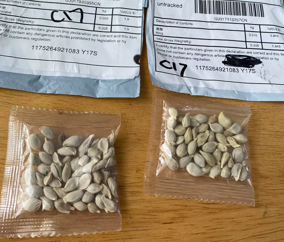 Have You Gotten Any Weird Seeds In the Mail From China?