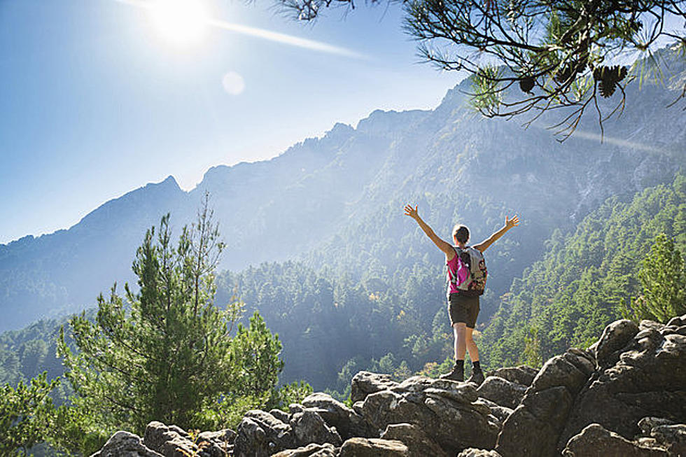 When You Gotta Go… Quick Guide To Toilet-ing In The Woods.