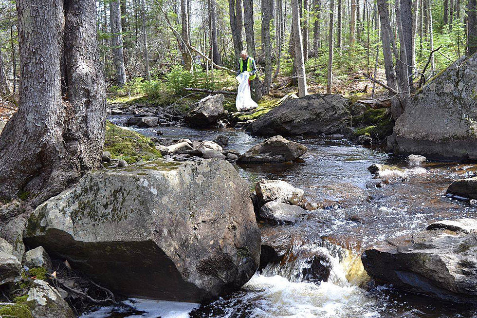 Card Brook Clean-Up Postponed from April 20th to April 27th