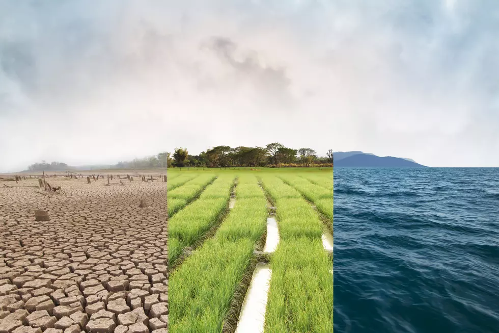 Maine’s Big Drought Drags On Into The Fall