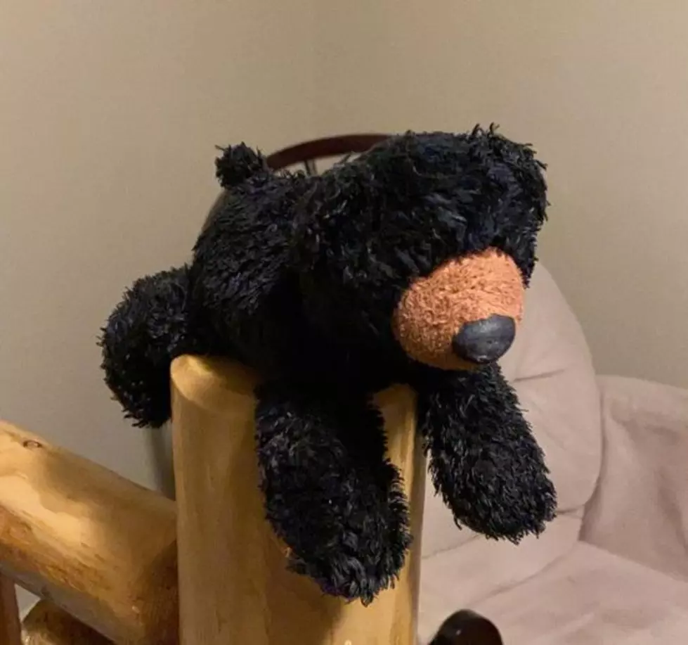 Little Boy&#8217;s Stuffed Bear Has Been Found [UPDATE]