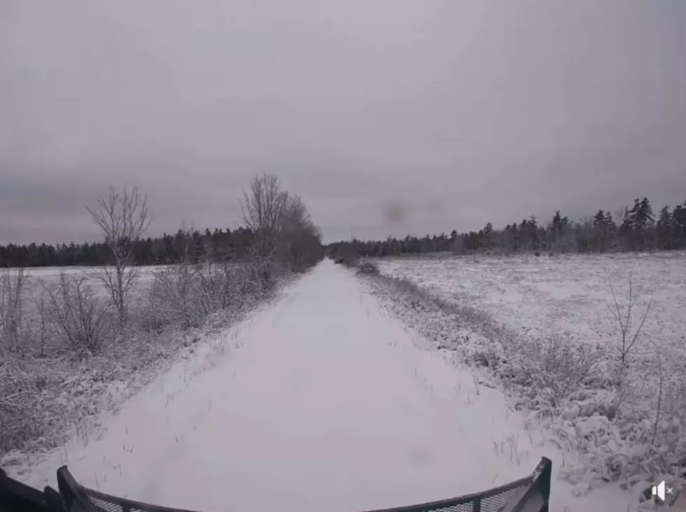 Take A Virtual Ride On The Downeast Sunrise Trail Today [VIDEO]