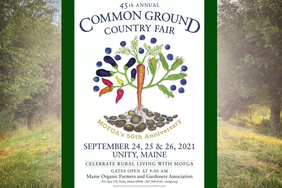 Here&#8217;s The 2021 Common Ground Country Fair Poster