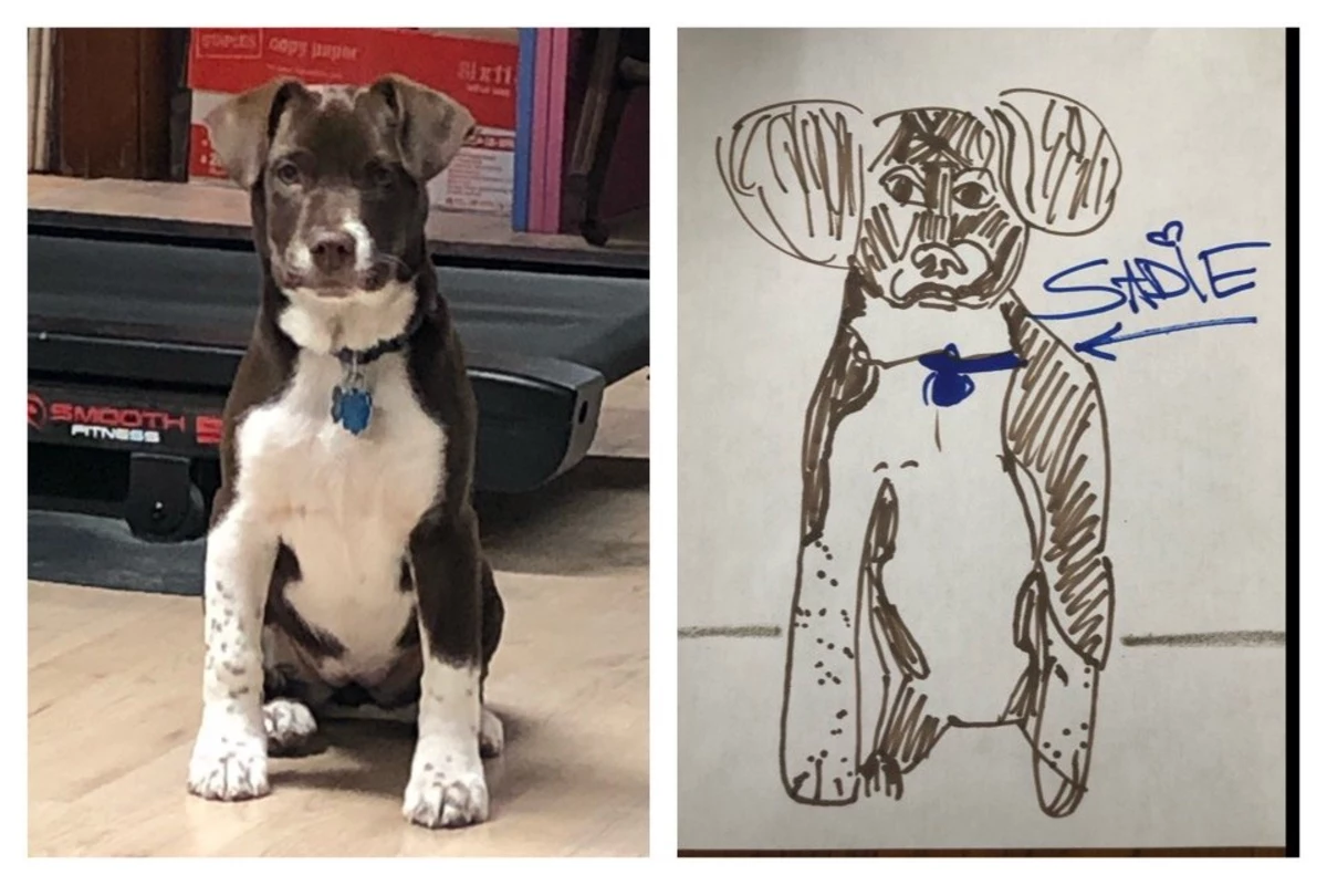 Toledo Humane Society - NEW: Animal Art Drawing Class for kids