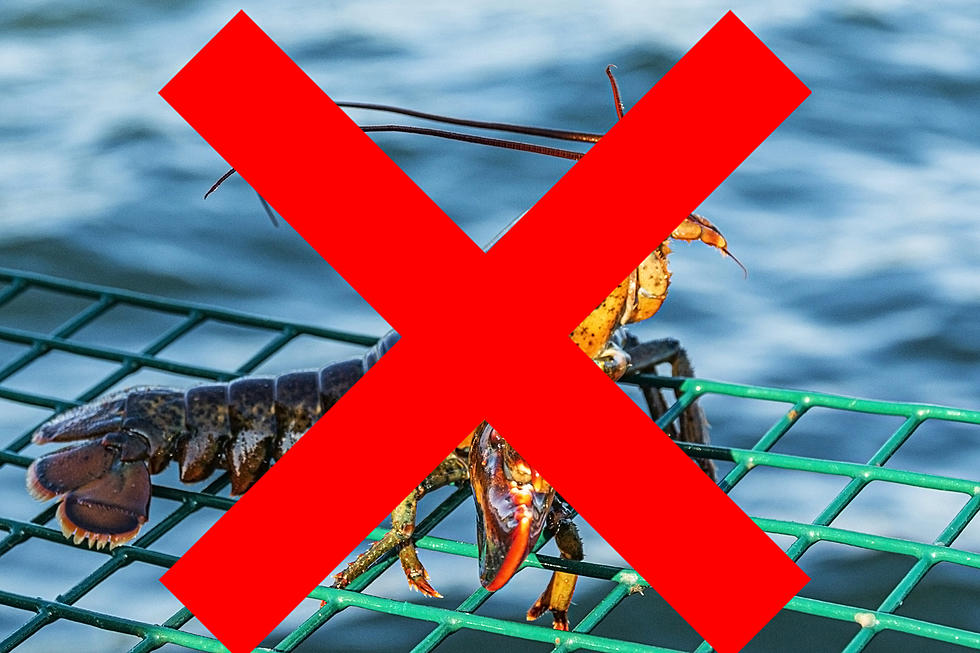 Georgia Campaign Targets Maine Fishermen, Urges &#8216;Eat Local, Not Lobster&#8217;