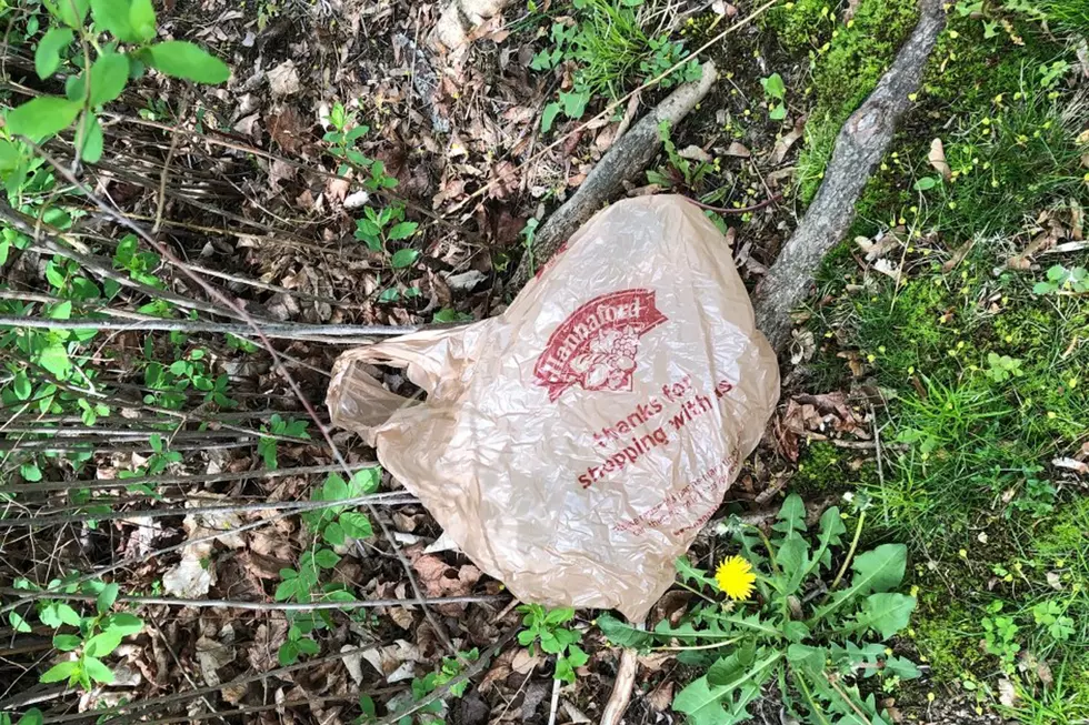 Days Are Running Out For Single-Use Plastic Bags In Maine