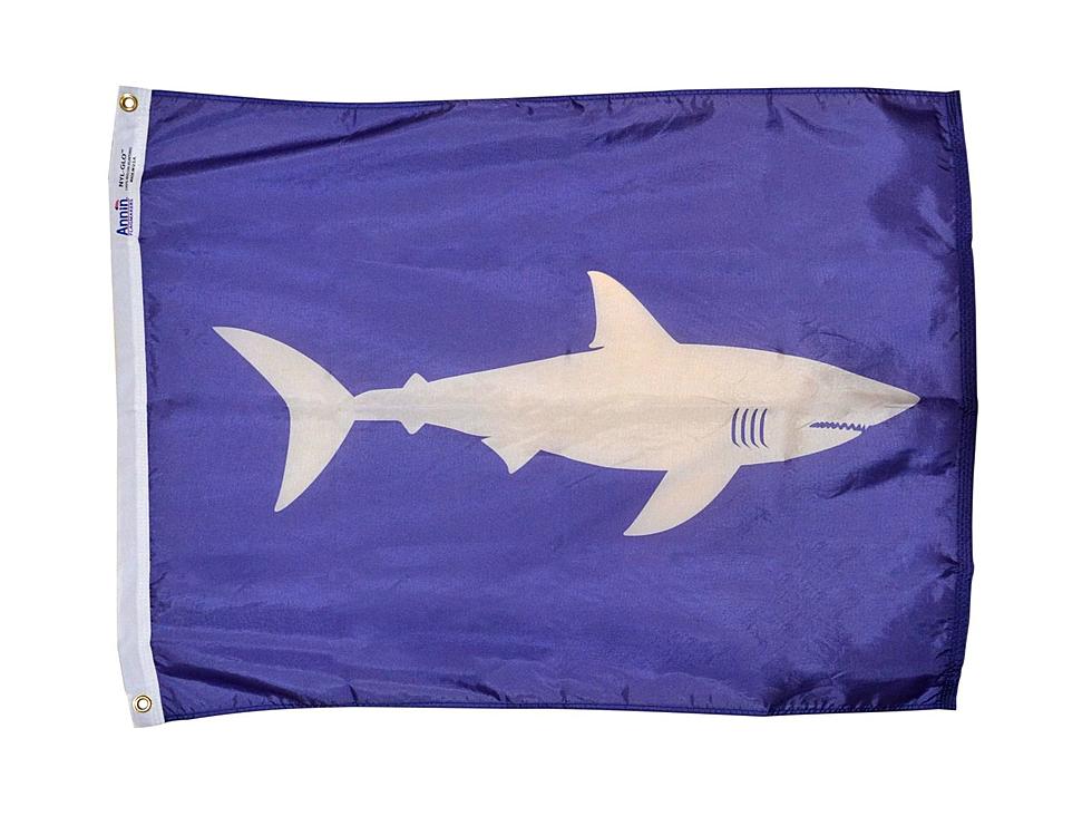 Maine Will Be Hoisting Shark Warning Flags This Year