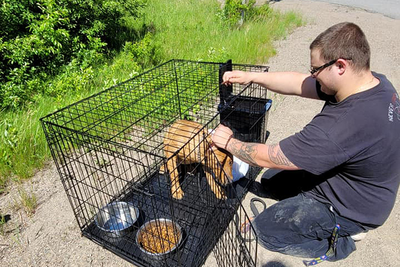 THE SQUIRRELINATOR LIVE SQUIRREL TRAP W/BASIN