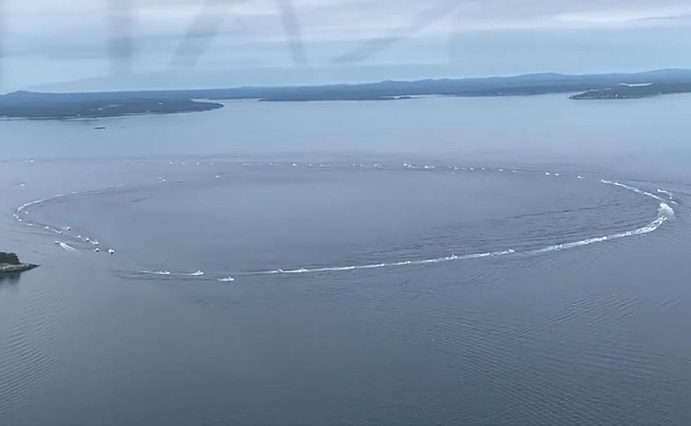 WATCH Maine Lobster Fishermen Rally To Protect Frenchman Bay From Salmon Farm