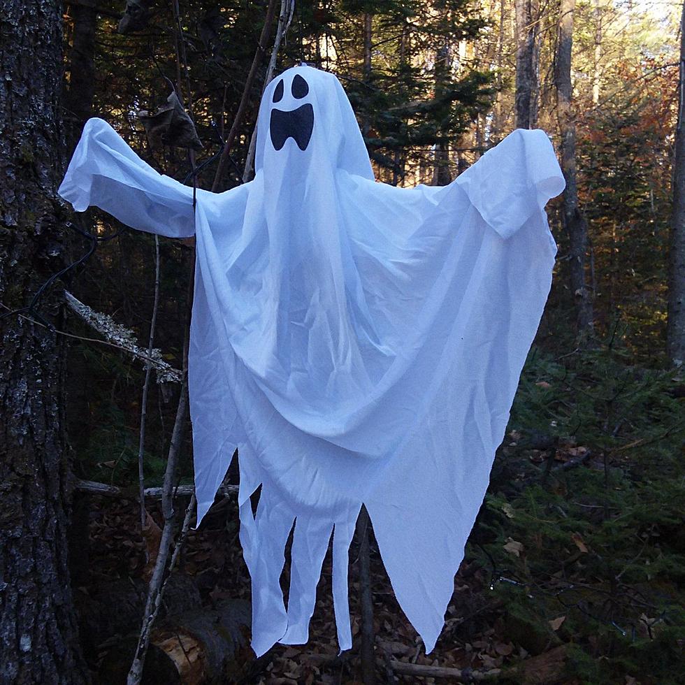 Take A Spooky Walk Along Glenburn’s Halloween “Holiday Lights Trail”