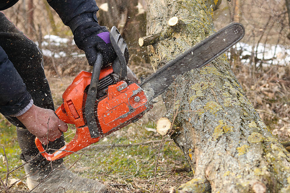 Got Debris From Lee? Bangor Public Works Will Help Residents Get Rid Of That