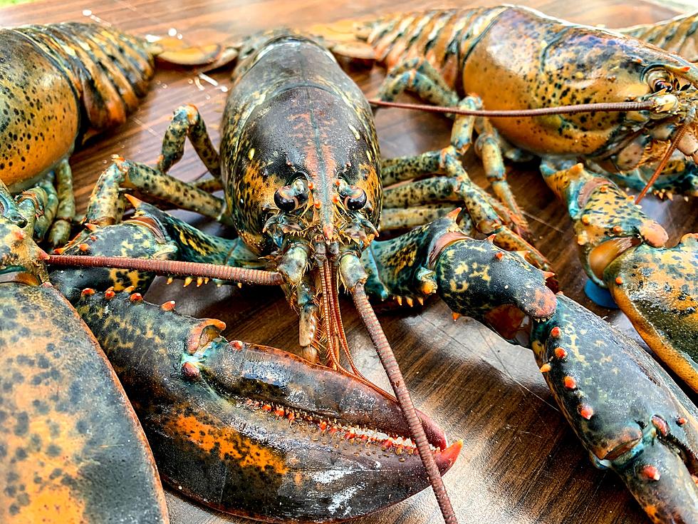 Chinese Media Claims Maine Lobsters Caused The Covid-19 Pandemic