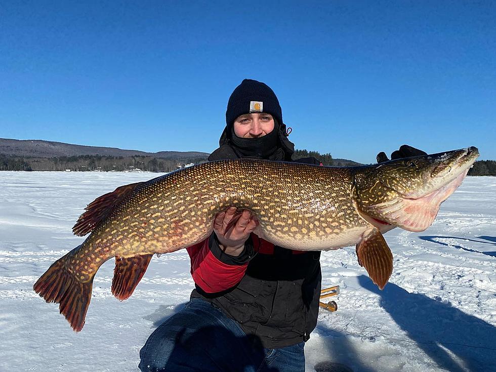 Throw Back Thursday: Waldoboro Couple Wow With Whopper Of A Fish