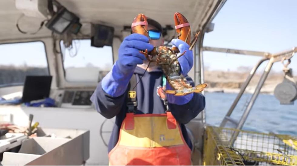 Popular YouTube Chef Nick DiGiovanni Learns All About Lobstering From Maine Lobsterman