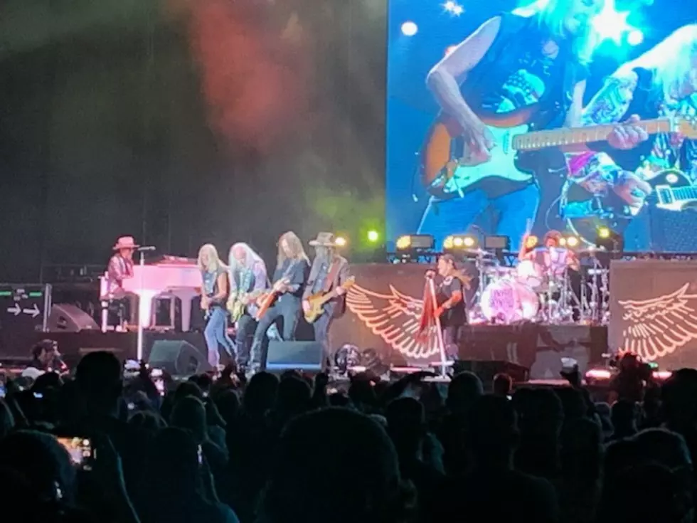 Lynyrd Skynyrd 37, Cori Skall