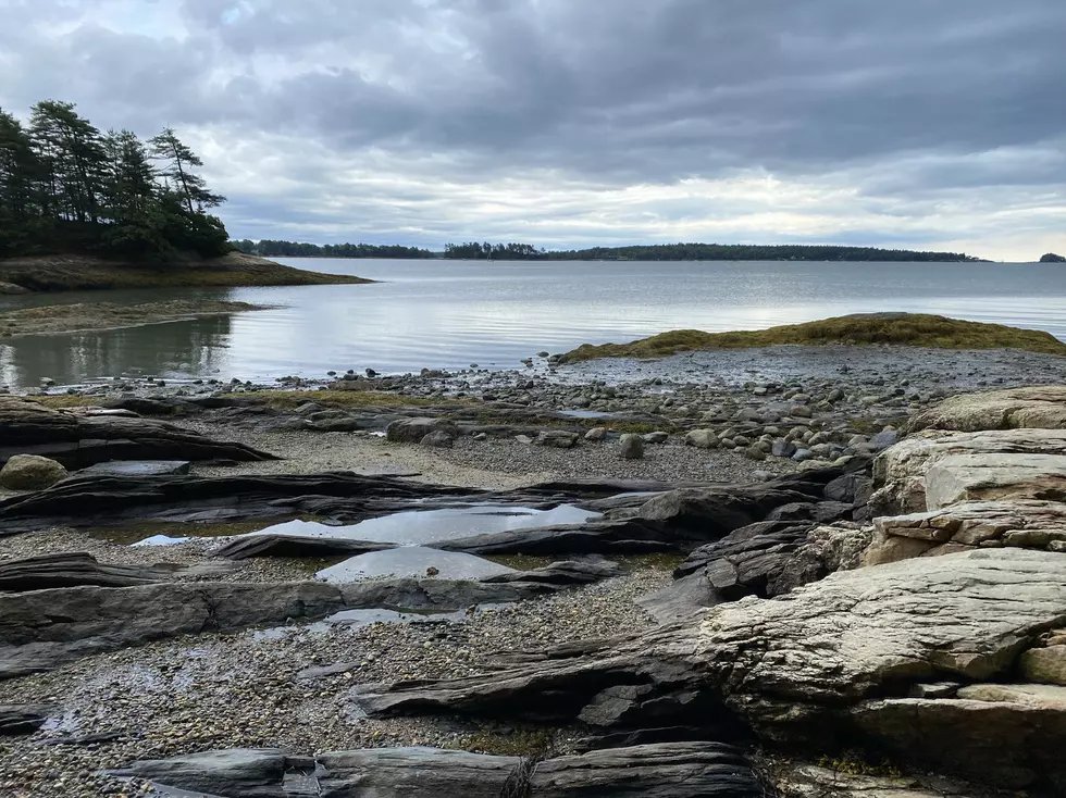 A waterfront shot from Wolfes Neck Woods State Park in Freeport Maine.