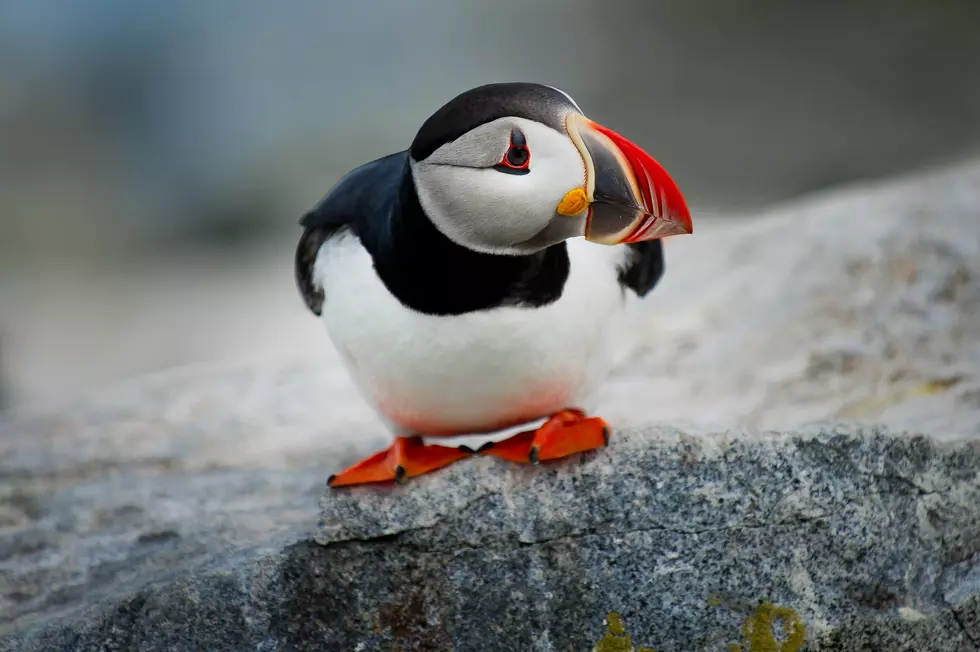 Photo by Ray Hennessy on Unsplash