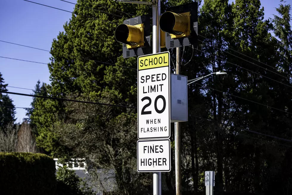 School zone speed limit sign in front of trees