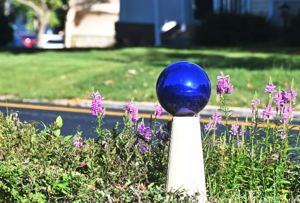 What Do You Actually Call These Mystical Orbs On Lawns Across Maine?
